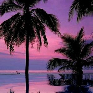 Meet your Posher, Caelyn